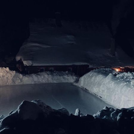 Chalupa Za Lesikom Zdiar Bagian luar foto